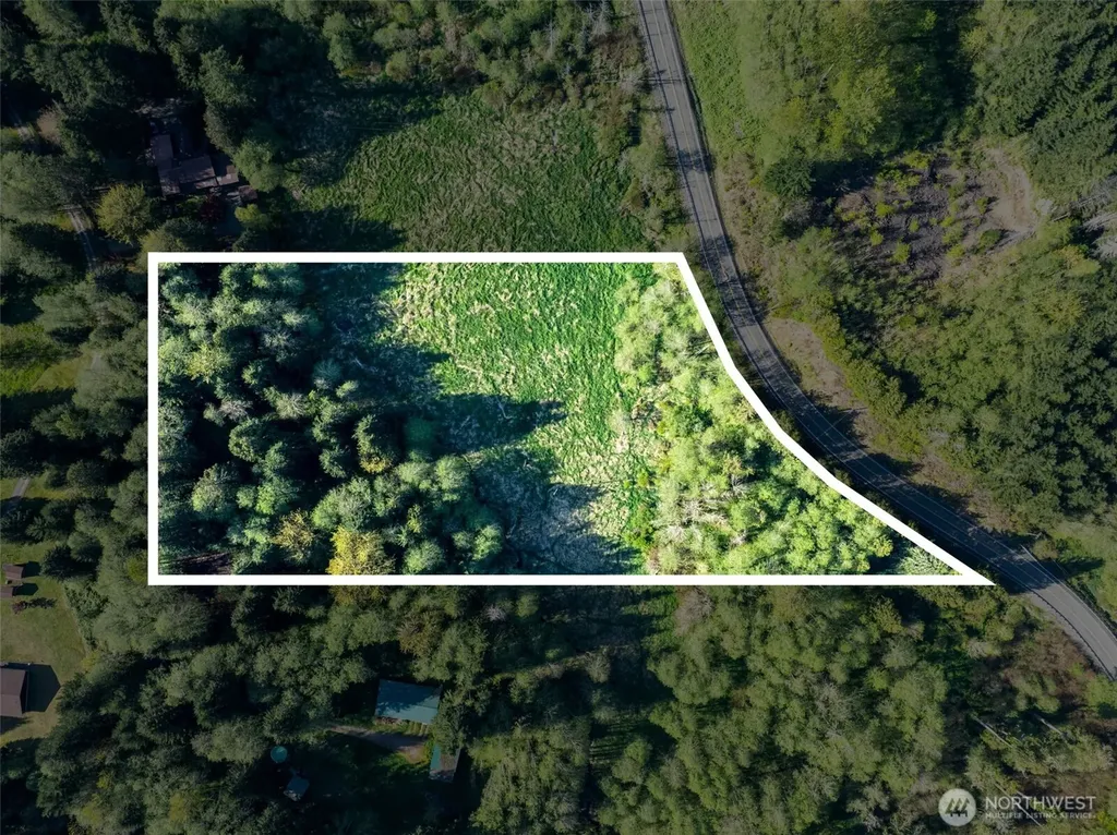 0 Davis Lake Road Morton WA 98356
