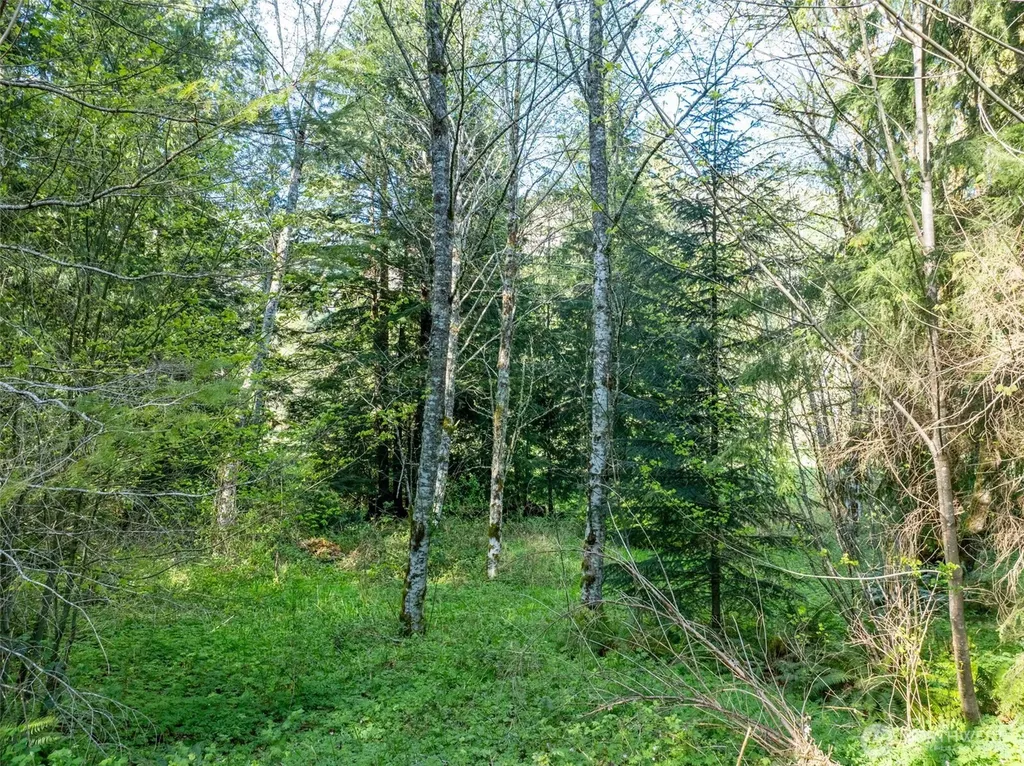 0 Davis Lake Road Morton WA 98356
