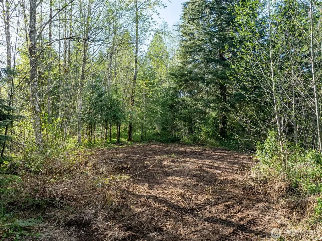 0 Davis Lake Road Morton WA 98356