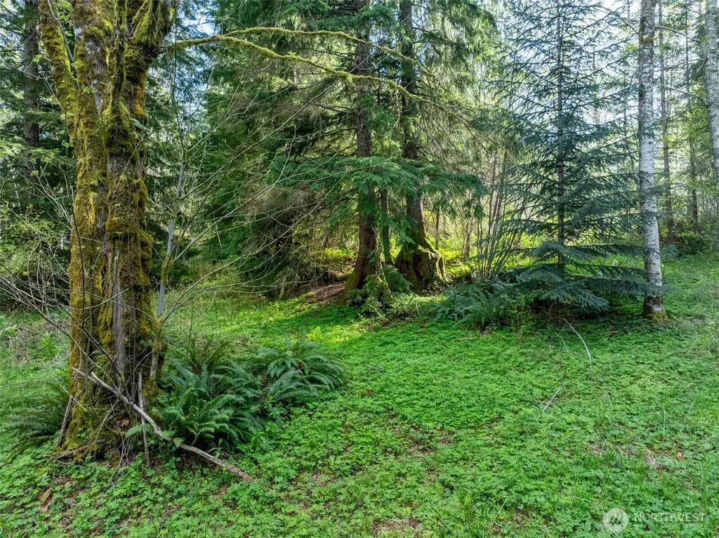 0 Davis Lake Road Morton WA 98356