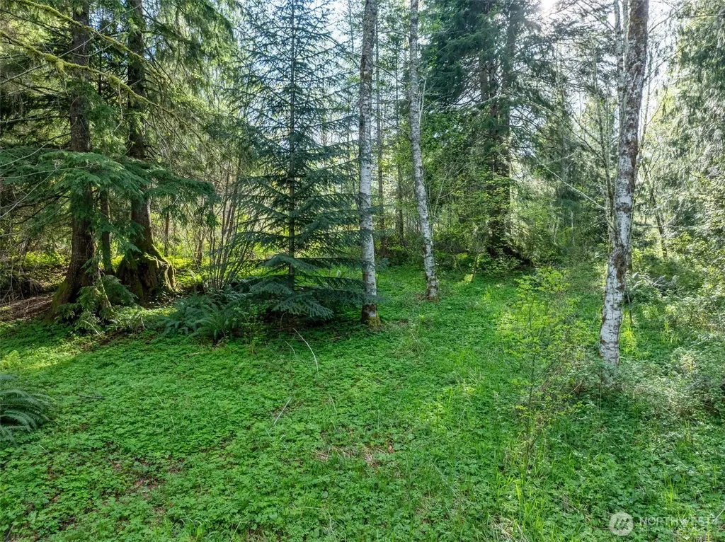0 Davis Lake Road Morton WA 98356