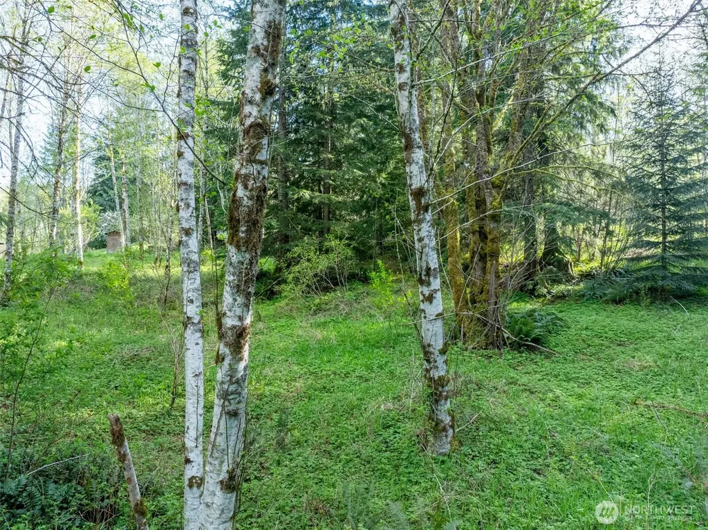 0 Davis Lake Road Morton WA 98356
