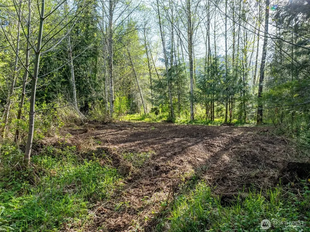 0 Davis Lake Road Morton WA 98356