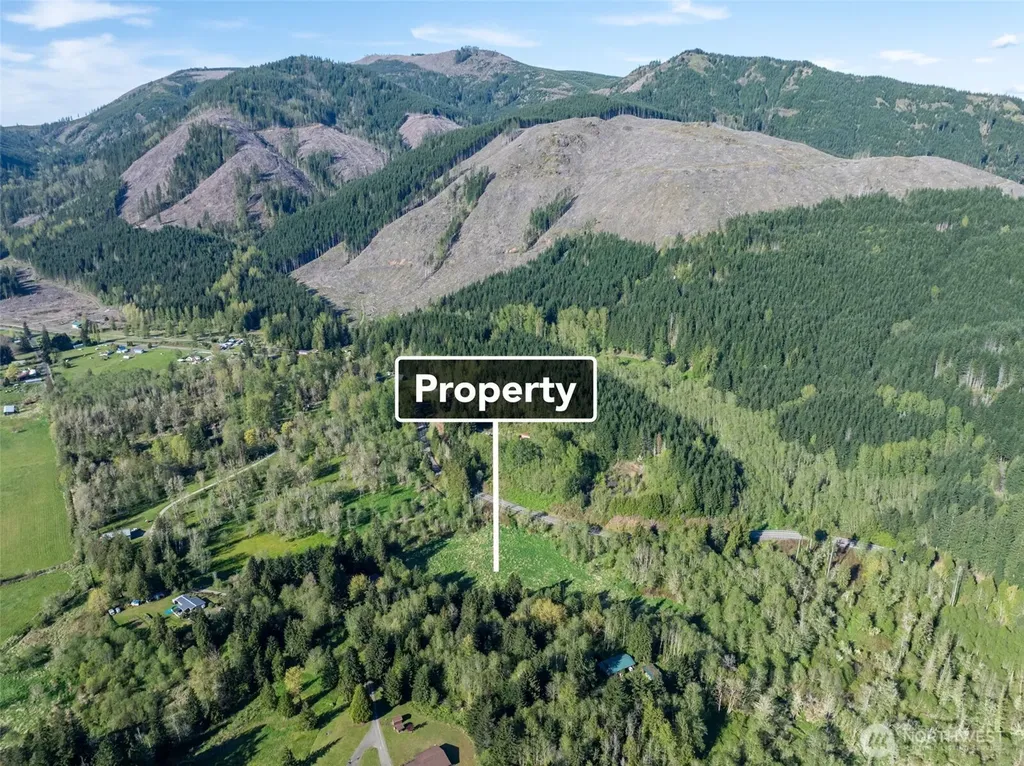 0 Davis Lake Road Morton WA 98356