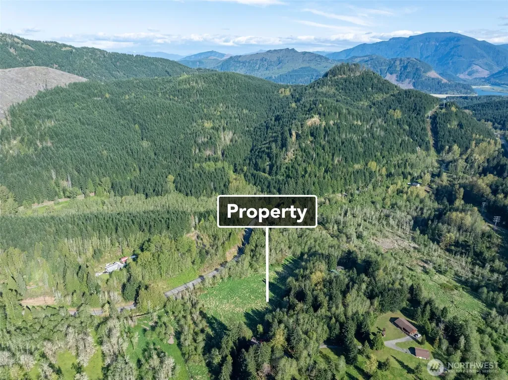 0 Davis Lake Road Morton WA 98356