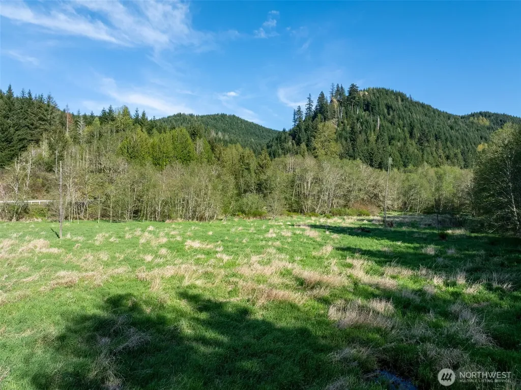 0 Davis Lake Road Morton WA 98356