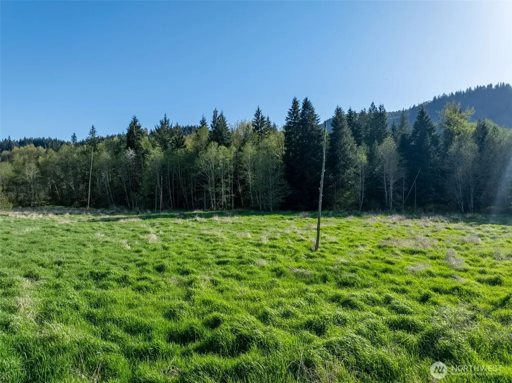 0 Davis Lake Road Morton WA 98356