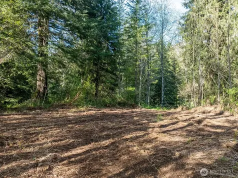 0 Davis Lake Road Morton WA 98356