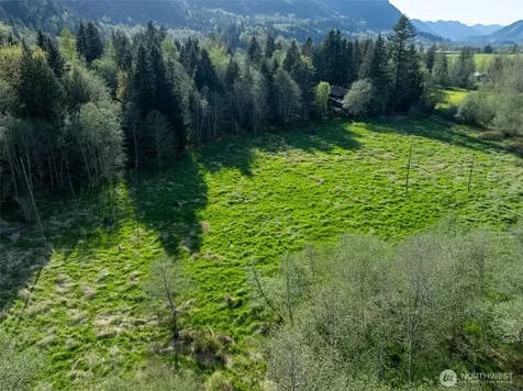 0 Davis Lake Road Morton WA 98356