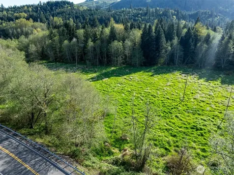 0 Davis Lake Road Morton WA 98356