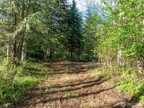 0 Davis Lake Road Morton WA 98356