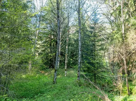 0 Davis Lake Road Morton WA 98356