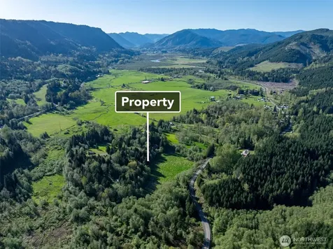 0 Davis Lake Road Morton WA 98356