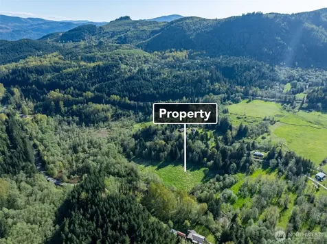 0 Davis Lake Road Morton WA 98356