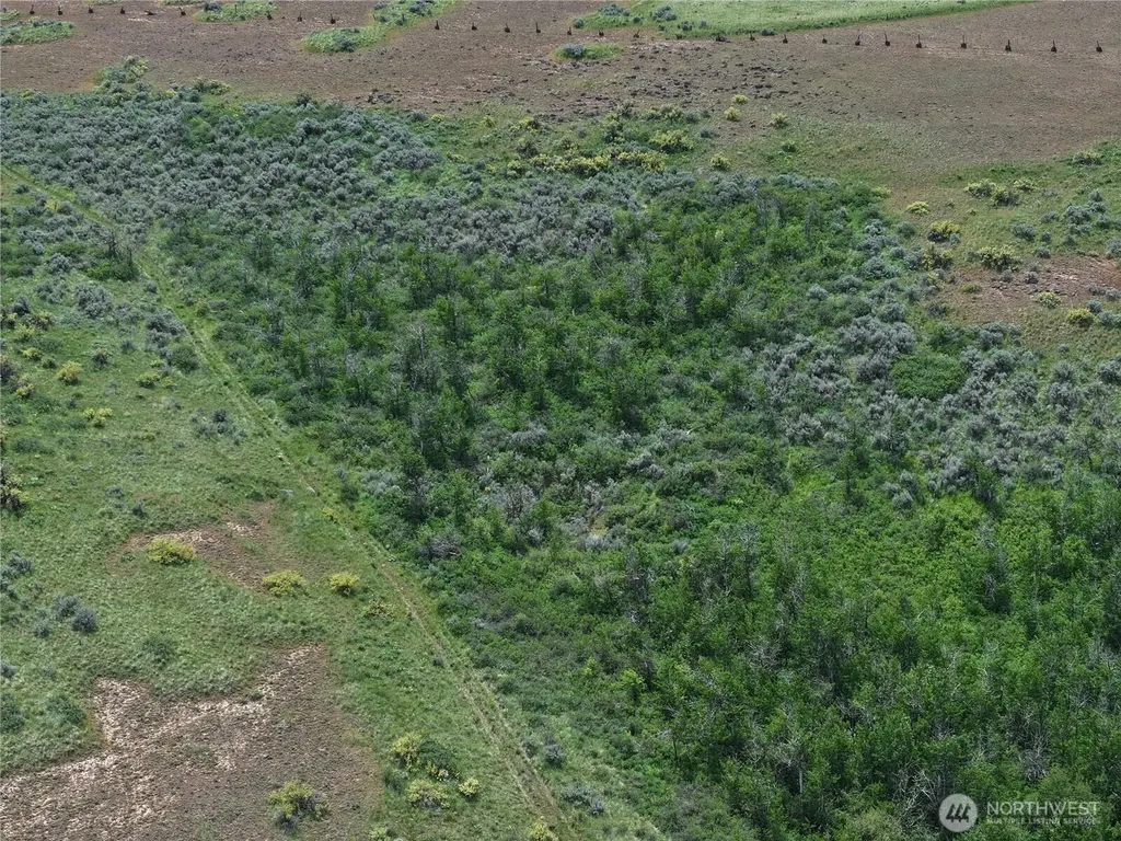 0 Rock Island Grade SW Waterville WA 98858