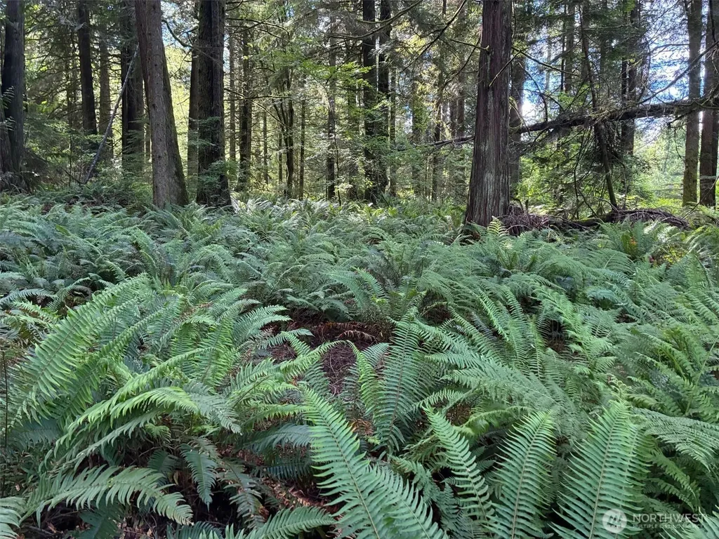 1108 Connors Road Snohomish WA 98290