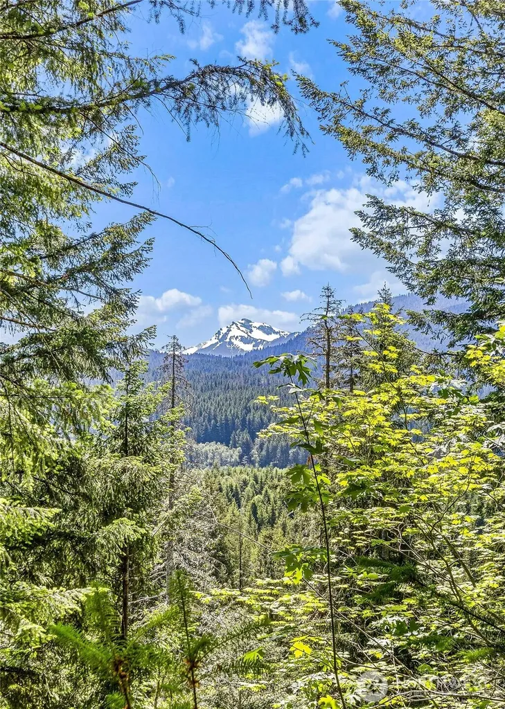 133 Hinkle Tinkle Packwood WA 98361
