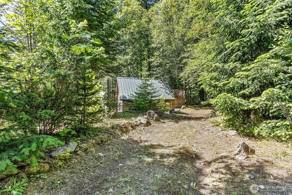 133 Hinkle Tinkle Lane Packwood WA 98361