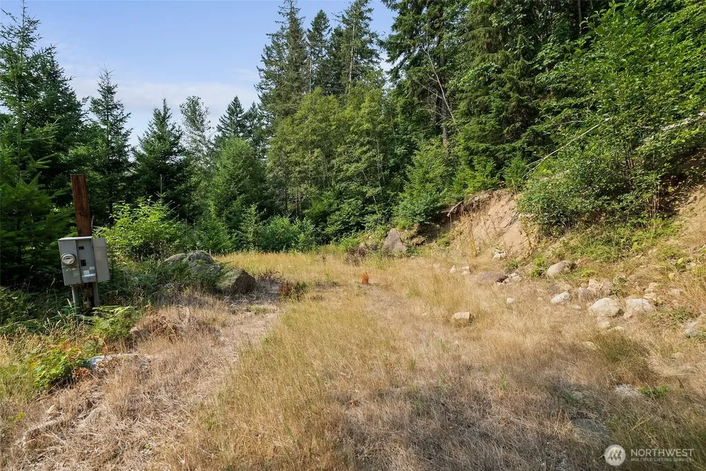 133 Hinkle Tinkle Lane Packwood WA 98361