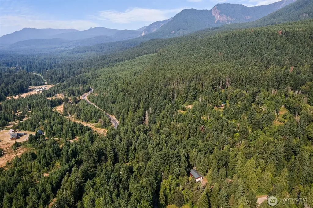 133 Hinkle Tinkle Lane Packwood WA 98361