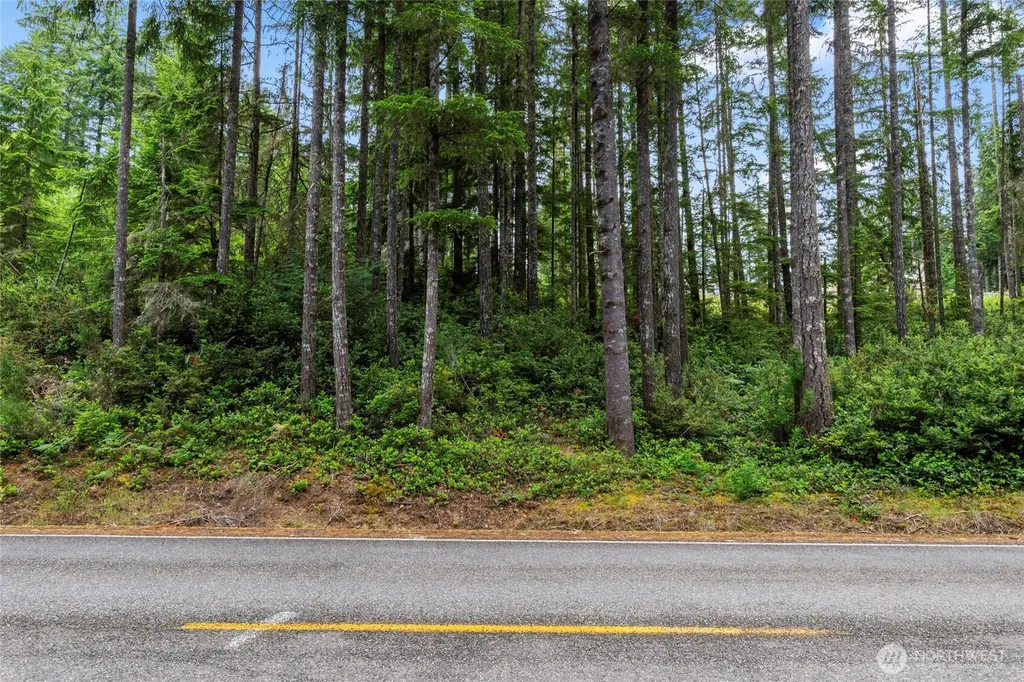 4611 E Rasor Road W Belfair WA 98528