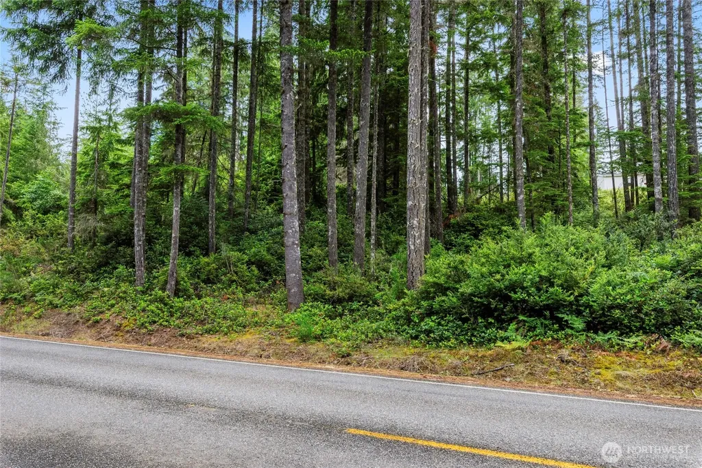 4611 E Rasor Road W Belfair WA 98528