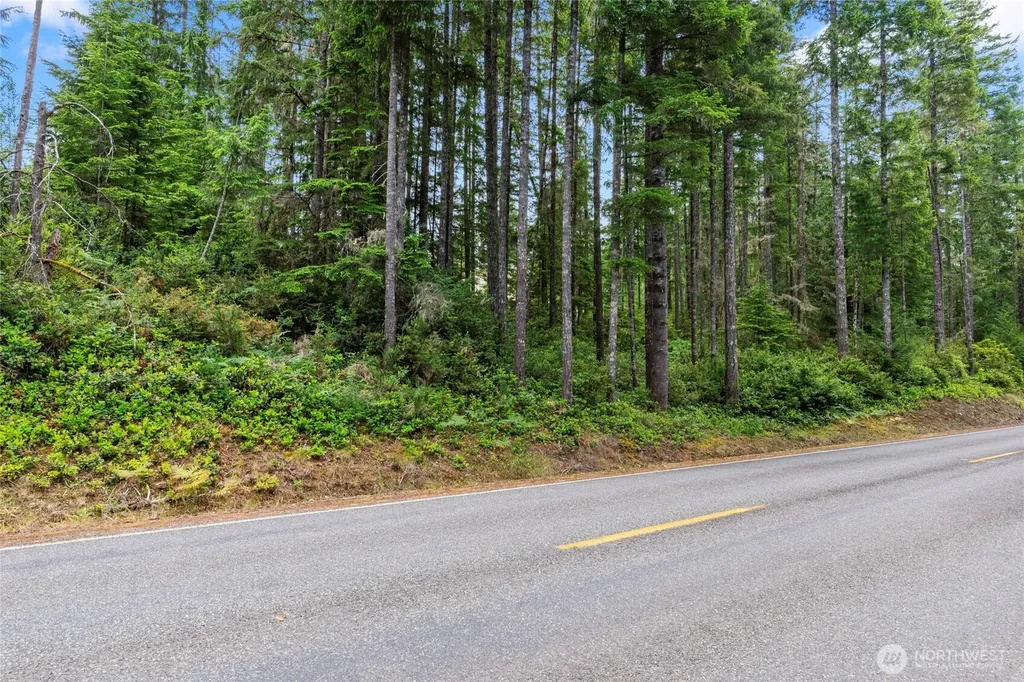 4611 E Rasor Road W Belfair WA 98528