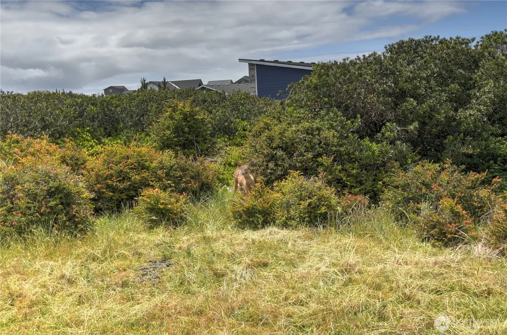 1205 Fairwood Court St SW Ocean Shores WA 98569