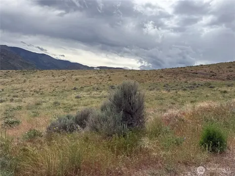300 Buckhorn Mountain Drive Pateros WA 98846