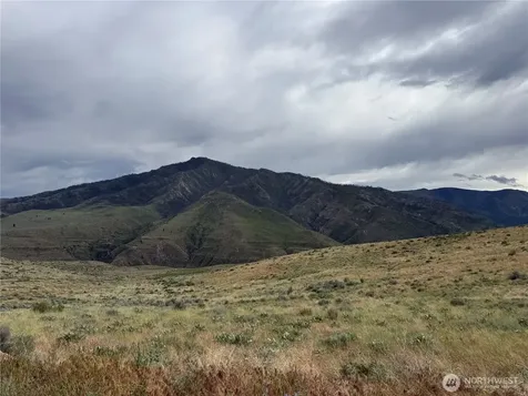 300 Buckhorn Mountain Drive Pateros WA 98846