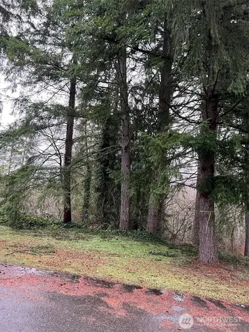 186 NE 161st Place Woodinville WA 98072