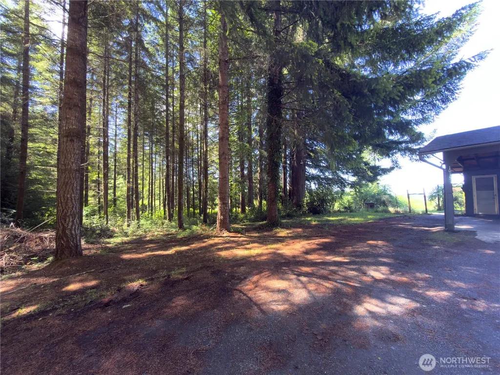 1015 Coal Creek Chehalis WA 98532
