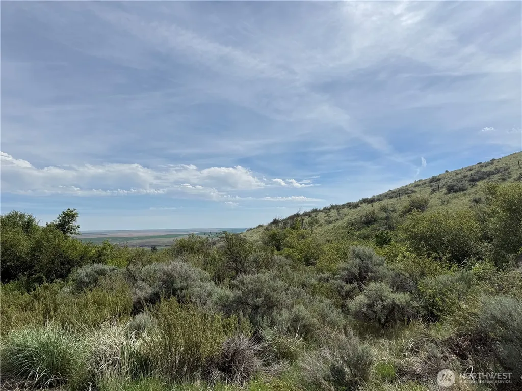 0 Titchenal Canyon Road SW Waterville WA 98858