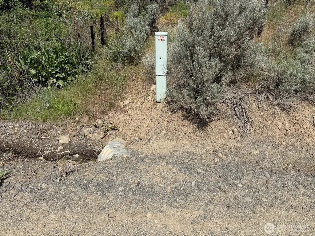 0 Titchenal Canyon Road SW Waterville WA 98858