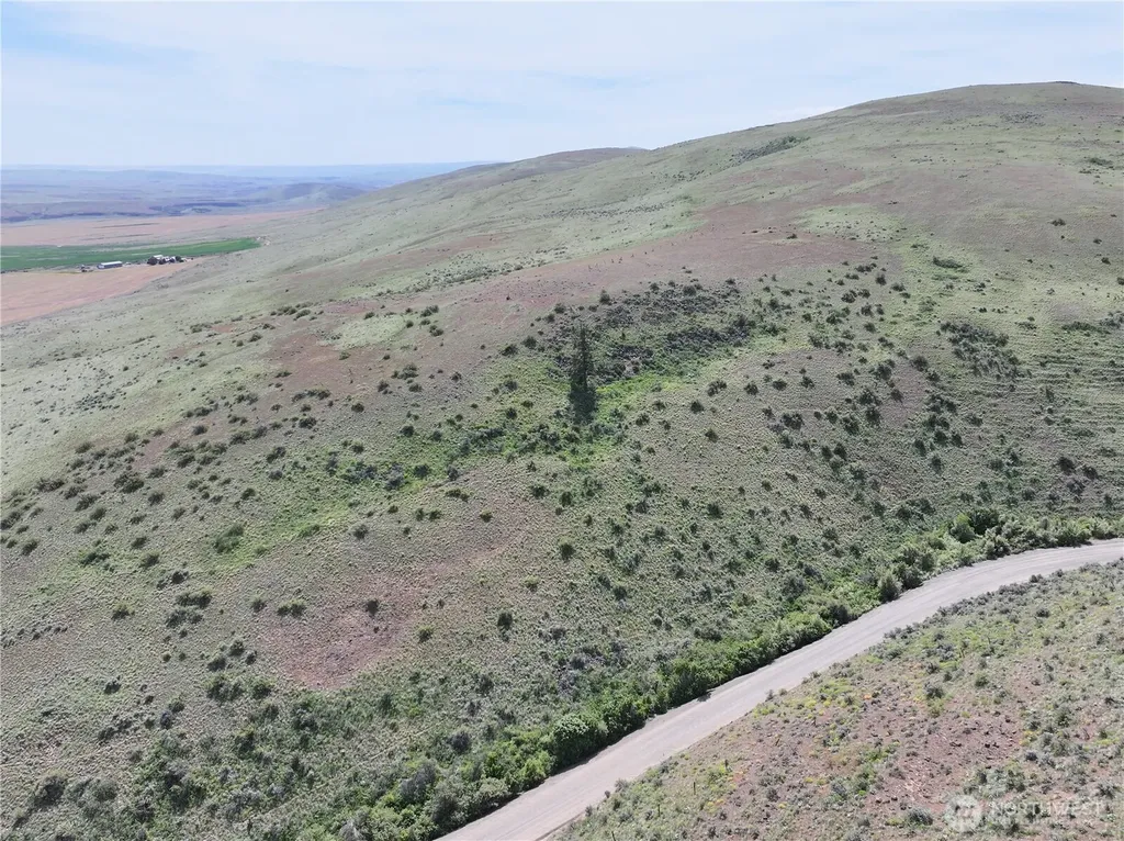 0 Titchenal Canyon Road SW Waterville WA 98858