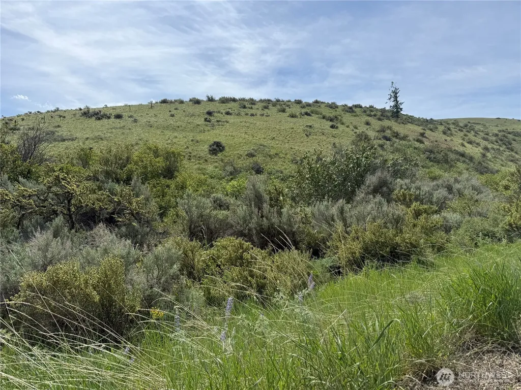 0 Titchenal Canyon Road SW Waterville WA 98858