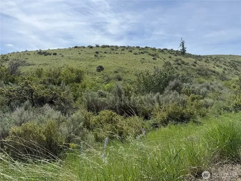 0 Titchenal Canyon Road SW Waterville WA 98858
