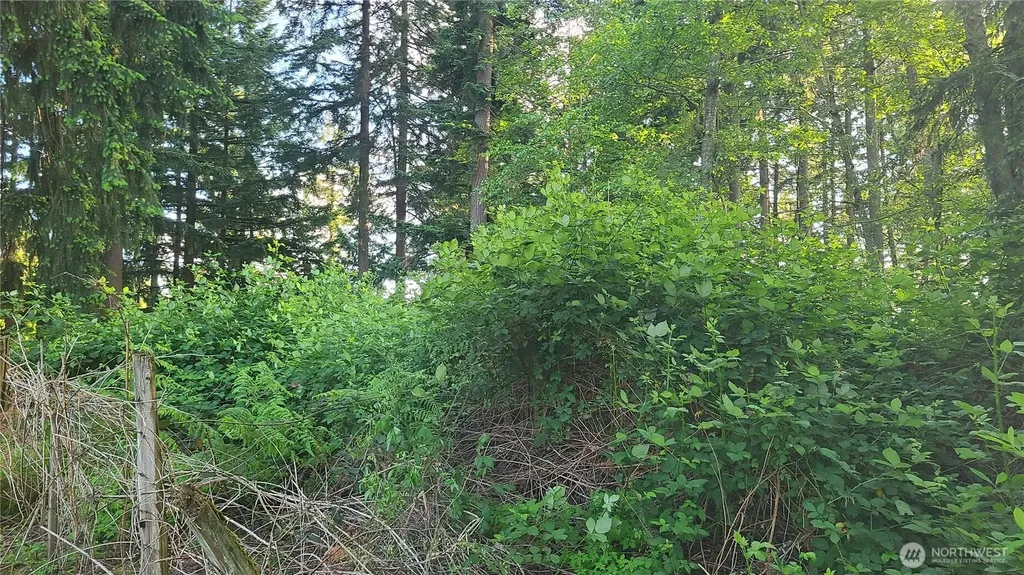9717 254th Street E Graham WA 98338