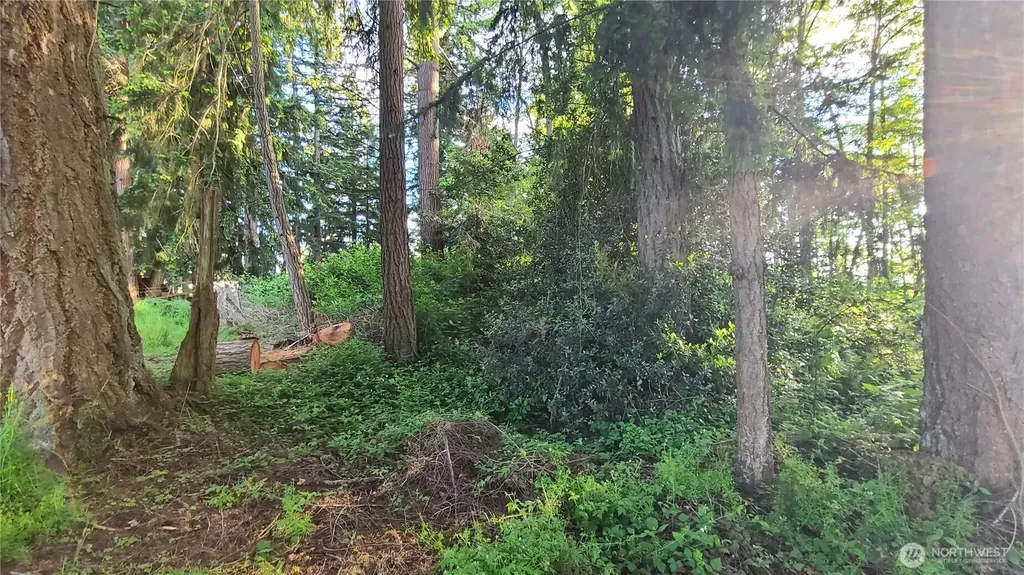 9717 254th Street E Graham WA 98338