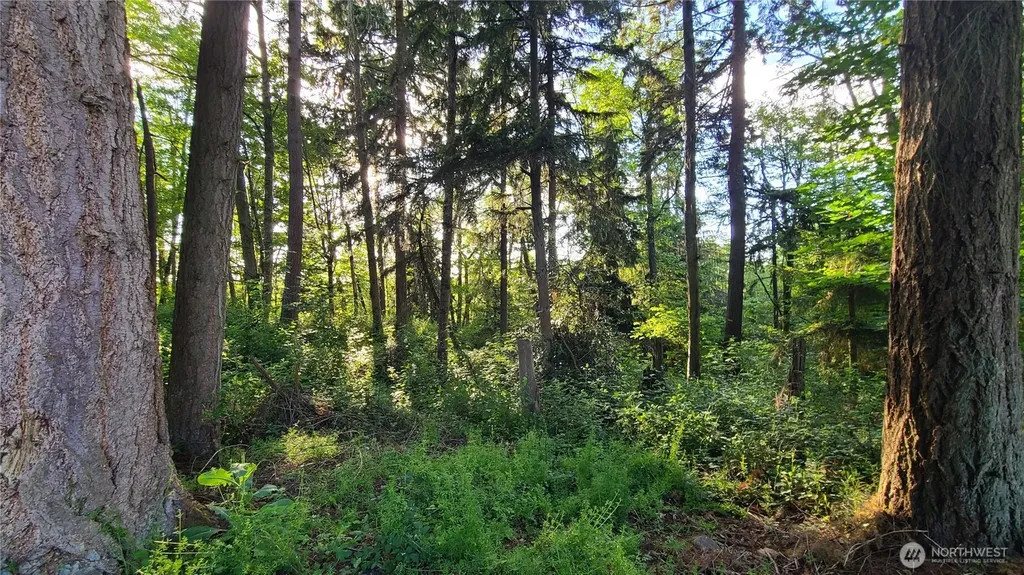 9717 254th Street E Graham WA 98338