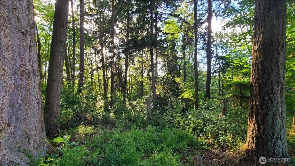 9717 254th Street E Graham WA 98338