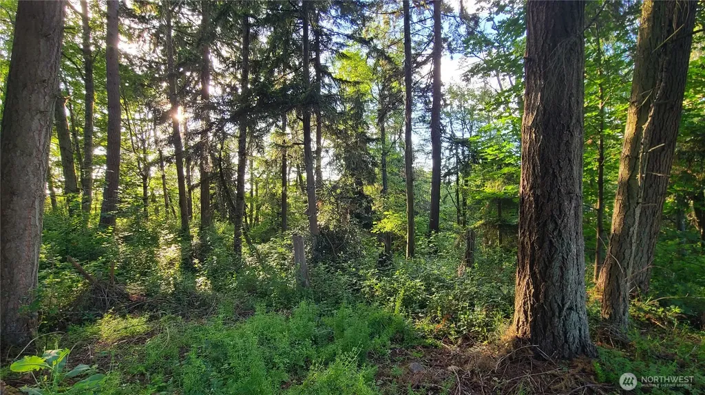 9717 254th Street E Graham WA 98338