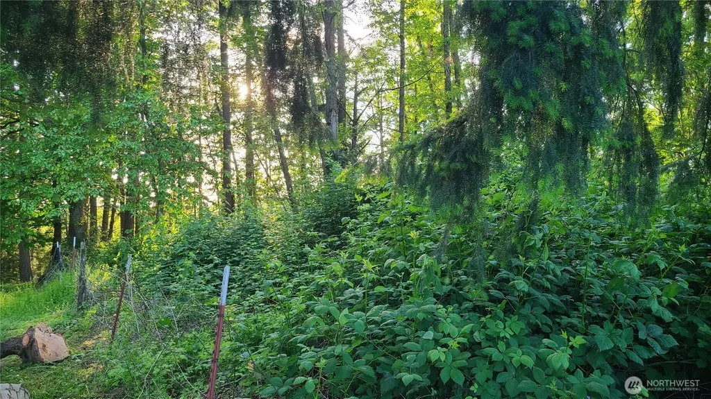 9717 254th Street E Graham WA 98338