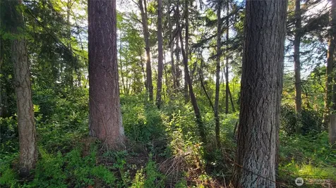 9717 254th Street E Graham WA 98338