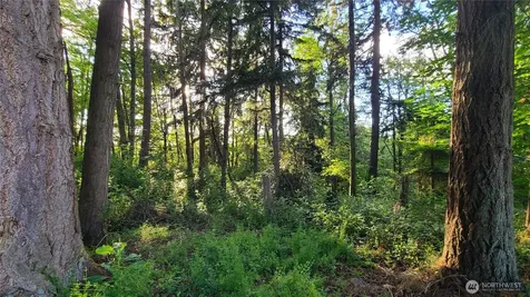 9717 254th Street E Graham WA 98338