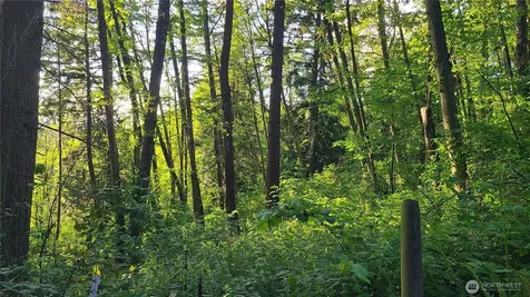 9717 254th Street E Graham WA 98338