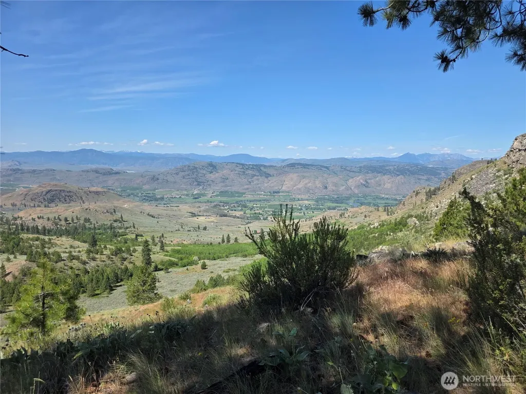 431 Swanson Hill Road Tonasket WA 98855