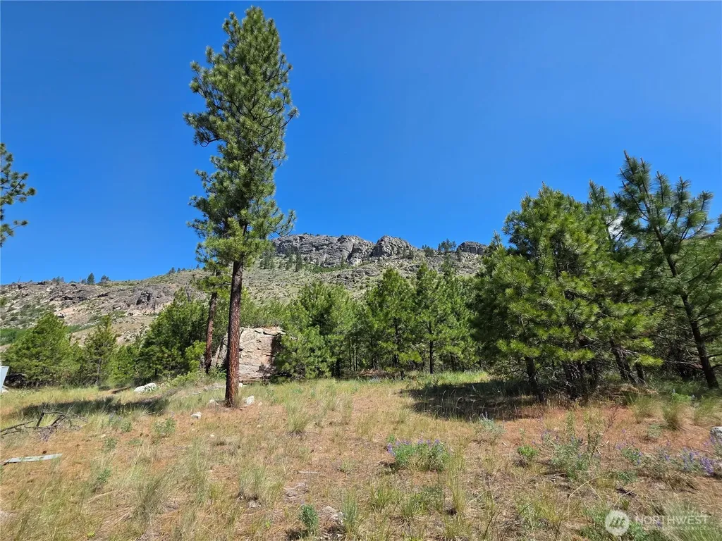 431 Swanson Hill Road Tonasket WA 98855