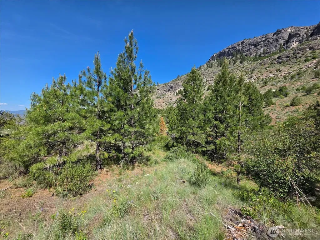431 Swanson Hill Road Tonasket WA 98855
