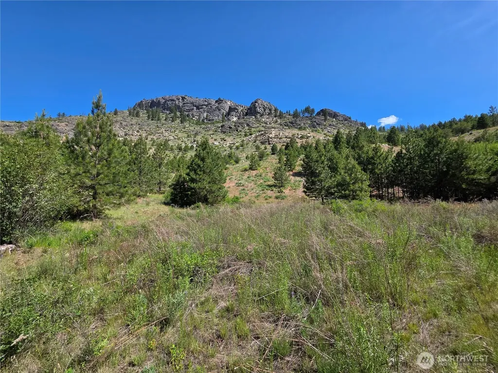 431 Swanson Hill Road Tonasket WA 98855